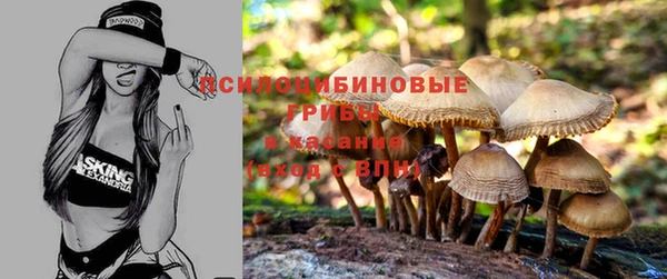 apvp Армянск