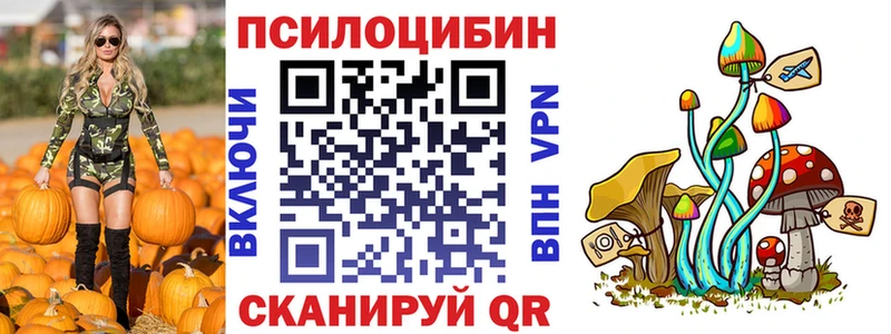 мориарти телеграм  где продают   Приморск  Галлюциногенные грибы Cubensis 